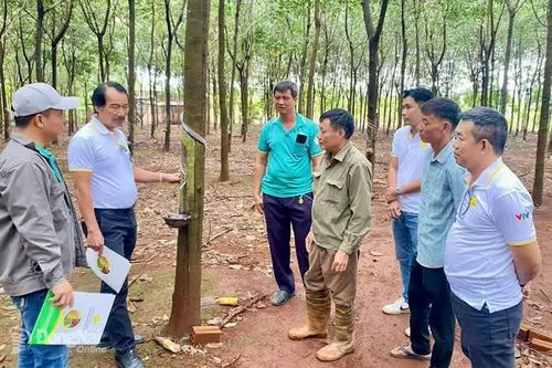 2Phong với mô hình Thực hành nông nghiệp tốt