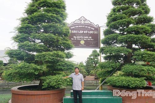 Bảo tàng bonsai Sa Đéc: Hướng đi triển vọng của nghệ nhân Nguyễn Phước Lộc