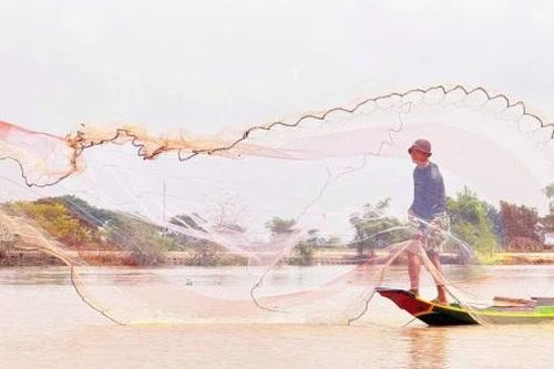 Nhộn nhịp 'mùa cá ra sông'