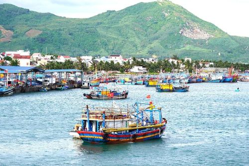 2 chính sách thiết thực hỗ trợ sinh kế cho nông dân, ngư dân