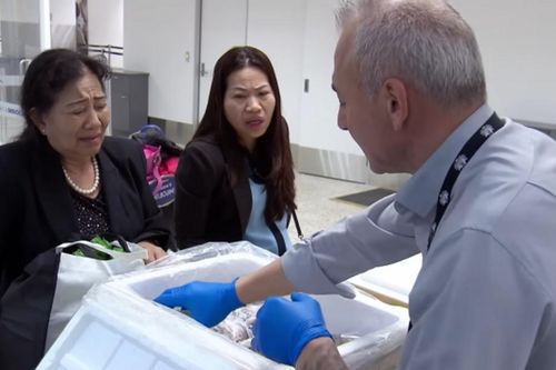 Nhập cảnh Australia: Những vật cấm cần biết để tránh bị phạt