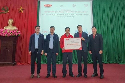 Dai-ichi Life Việt Nam chung tay hỗ trợ người dân Lương Sơn ổn định cuộc sống sau thiên tai