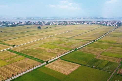 Hướng tới nền nông nghiệp sinh thái, tuần hoàn