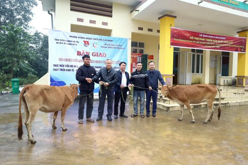 Trao tặng mô hình chăn nuôi bò lai cho thanh niên đồng bào dân tộc thiểu số