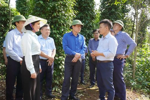 Lãnh đạo tỉnh kiểm tra tình hình sản xuất khu vực phía Nam