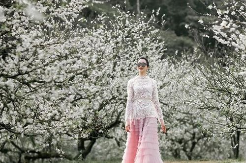 Sắc hoa trên cao nguyên Mộc Châu