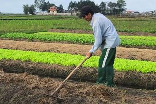 Khơi dậy ý thức vươn lên thoát nghèo