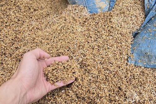 Bài cuối: Bảo hiểm nông nghiệp bị bỏ rơi?