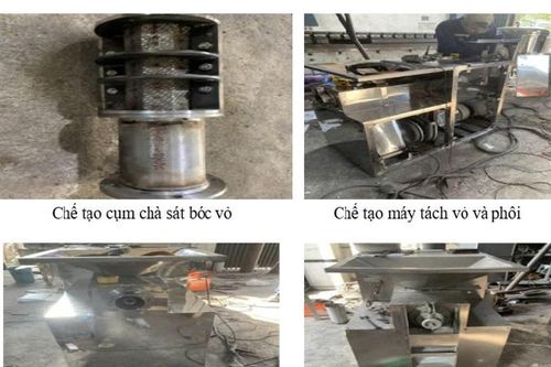 Nghiên cứu công nghệ để nâng cao giá trị cây ngô