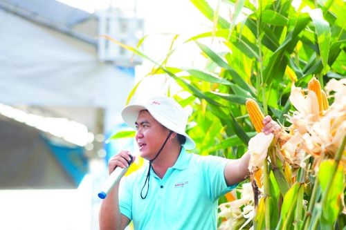 Định hướng phát triển công nghệ sinh học phục vụ các ngành kinh tế mũi nhọn