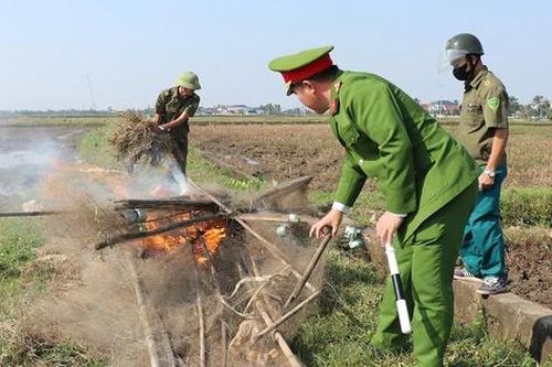 Truy quét hàng loạt vụ săn bắt, buôn bán động vật hoang dã
