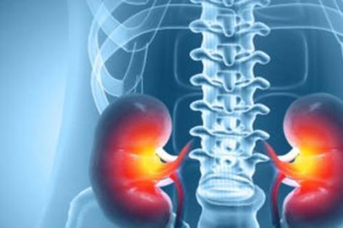 Tổn thương thận âm thầm từ thực phẩm chức năng và vitamin 'tốt cho sức khỏe'