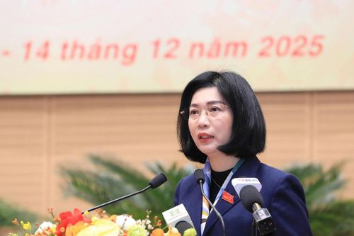 Hà Nội thông qua nghị quyết đầu tư các dự án lớn thể hiện tư duy trăm năm