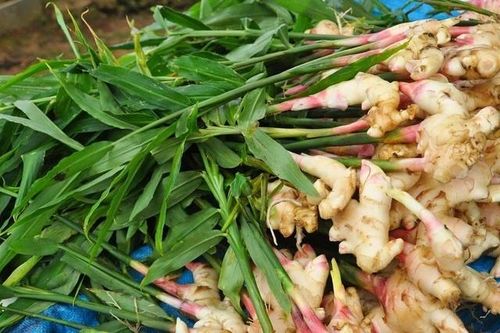 Nhóm người tuyệt đối không nên ăn gừng