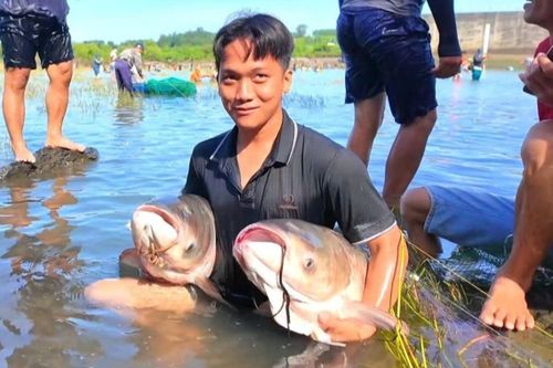 Đổ xô bắt cá 'khủng' khi thủy điện lớn nhất miền Nam đóng đập xả tràn