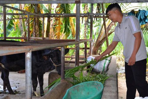 Mộ Đức nỗ lực giảm nghèo sau khi thực hiện chính quyền địa phương 2 cấp