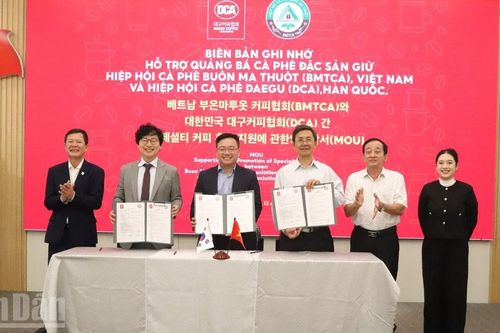 Đắk Lắk tiên phong đưa cà-phê đặc sản Việt Nam Robusta vươn ra thế giới