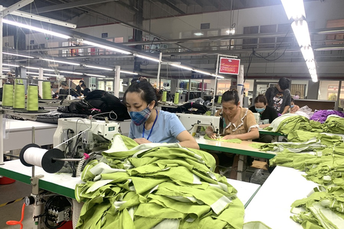 Dệt may Việt Nam bứt phá bằng xanh hóa - số hóa
