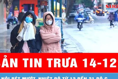 Bản tin trưa 14-12: Hà Nội rét mướt, nhiệt độ từ 12 đến 21 độ C