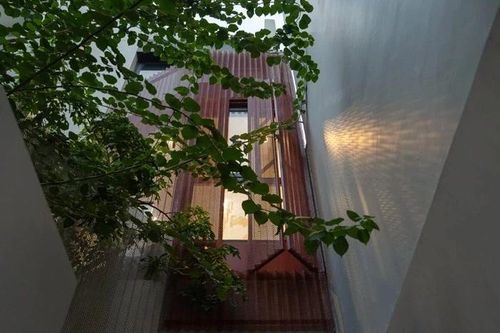 Nhà phố 'bọc lưới thép' khác lạ giữa đô thị tại TP HCM
