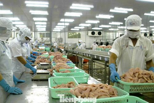 Phát lộ điểm nghẽn cản trở doanh nghiệp tư nhân