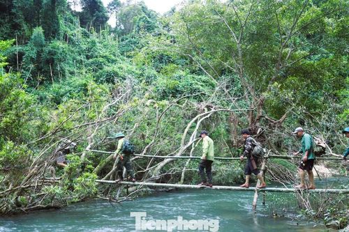 Những người giữ 'trái tim xanh' Pù Huống giữa đại ngàn hiểm trở