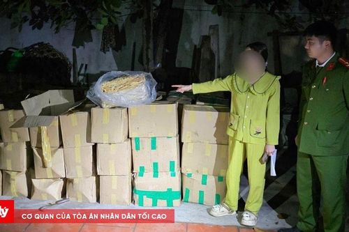 Phát hiện gần 2 tấn lòng lợn nghi mốc, không rõ nguồn gốc