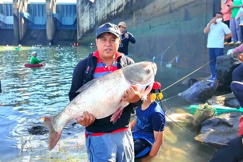 Dân khắp nơi đổ về hồ Trị An bắt cá, có người 'ẵm' cá mè hoa 18kg