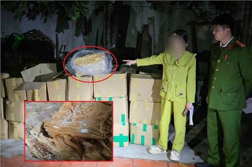 Phát hiện gần 2 tấn lòng lợn sơ chế có dấu hiệu mốc, không rõ nguồn gốc