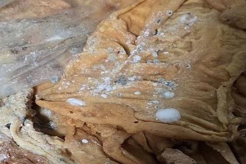 Phát hiện gần 2 tấn lòng lợn nấm mốc, không rõ nguồn gốc