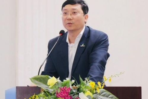 Điều chỉnh quy hoạch dầu khí: Bước đi chiến lược