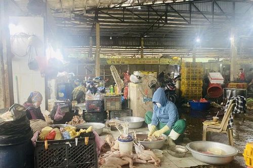 Tăng cường quản lý giết mổ gia súc, gia cầm