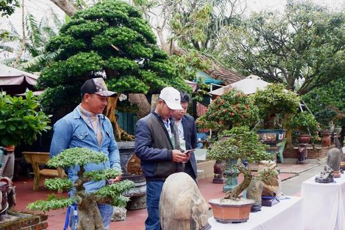Kết nối người yêu sinh vật cảnh xứ Quảng