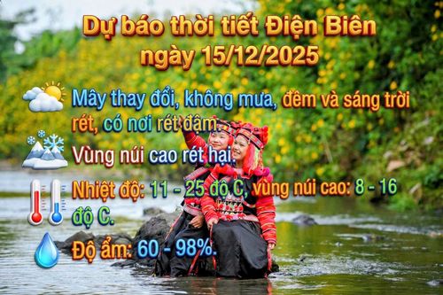 Bản tin Dự báo thời tiết ngày 15/12/2025