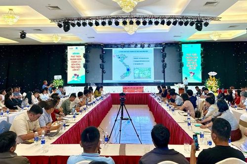 Gia Lai: Hội thảo về phát triển ngành hàng chanh leo bền vững theo chuỗi liên kết