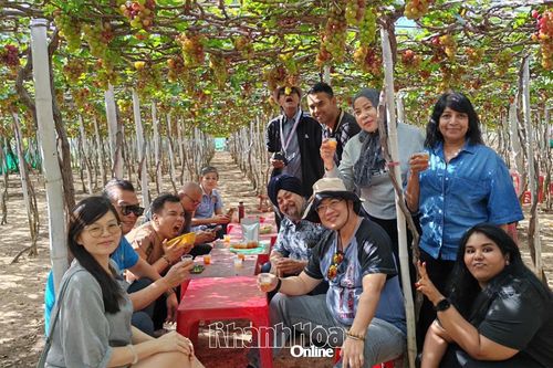 Đoàn famtrip Malaysia tìm cơ hội hợp tác với doanh nghiệp du lịch Khánh Hòa