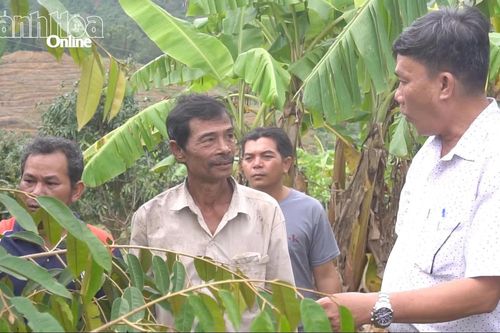 Xã Cam Hiệp: Đồng bào dân tộc thiểu số thi đua phát triển kinh tế