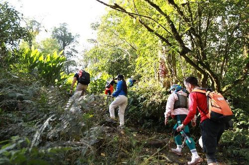 Đường đá cổ Pa Vi: Giá trị lịch sử mở lối phát triển du lịch trải nghiệm