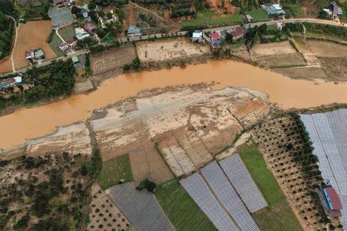 Nông dân Lâm Đồng vực dậy sản xuất sau bão lũ