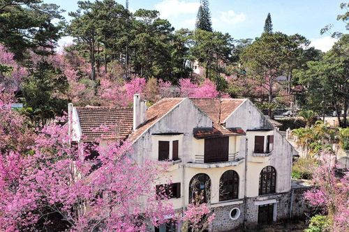 Giữ nét rêu phong…