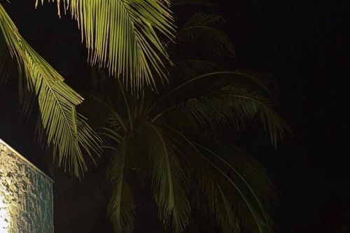 Phạm Kiên lên tiếng về vòng hai gây chú ý trên sàn diễn