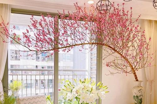Trang trí Tết: Gợi ý dọn nhà đón năm mới rước tài lộc