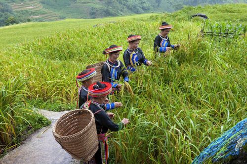 Thái Nguyên sau sáp nhập: Phát huy vai trò truyền thông chính sách để giảm nghèo hiệu quả