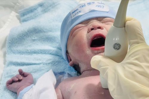 Y học bào thai giúp nhiều em bé chào đời khỏe mạnh