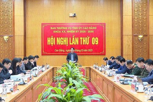 Hội nghị Ban Thường vụ Tỉnh ủy lần thứ 9