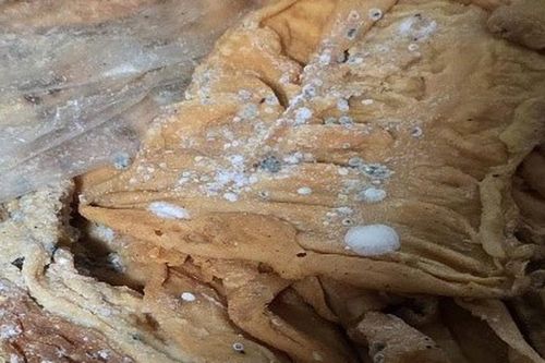 Kinh hãi, gần 2 tấn lòng lợn nấm mốc không rõ nguồn gốc xếp trong sân nhà dân
