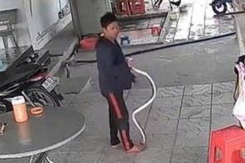 Người đàn ông bình tĩnh bắt rắn khiến người xem thót tim