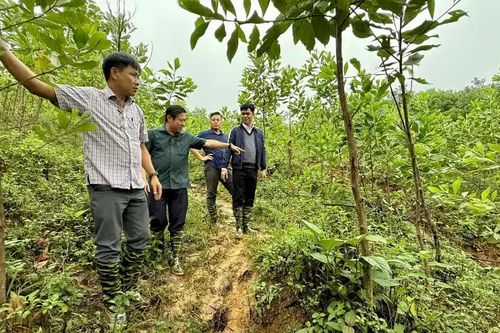 Đà Nẵng: đề xuất phương án di dời, bố trí tái định cư cho các hộ dân tại xã La Dêê