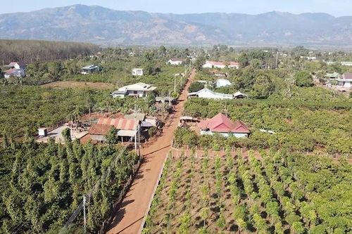 Thêm 85 dự án phát triển cộng đồng hỗ trợ hơn 1.500 hộ yếu thế ở Gia Lai