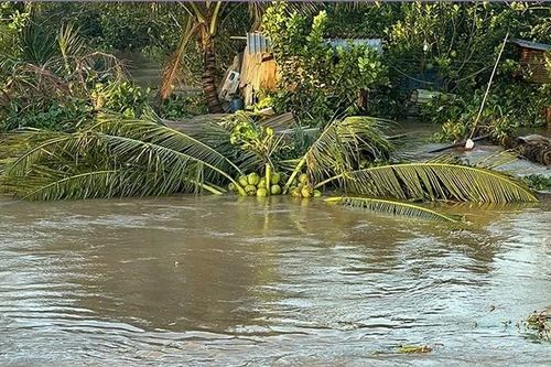 Ứng phó thiên tai, ổn định đời sống người dân